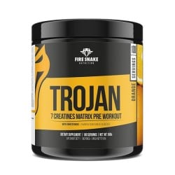 Trojan V2 500g